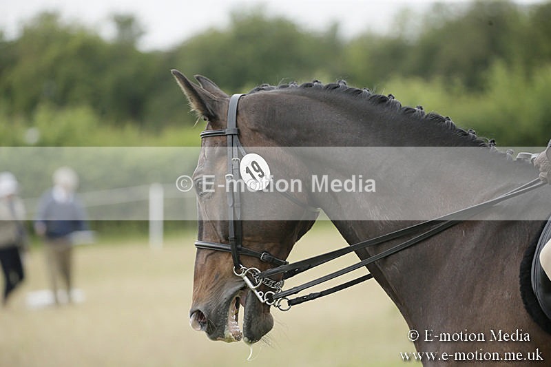 B230619-0344 - Bourne Valley Riding Club Summer Show 23/06/19