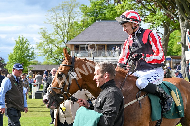 150526-Race 6-Fortification-8541 - Race 6 4.40pm Irish Thoroughbred Marketing Handicap