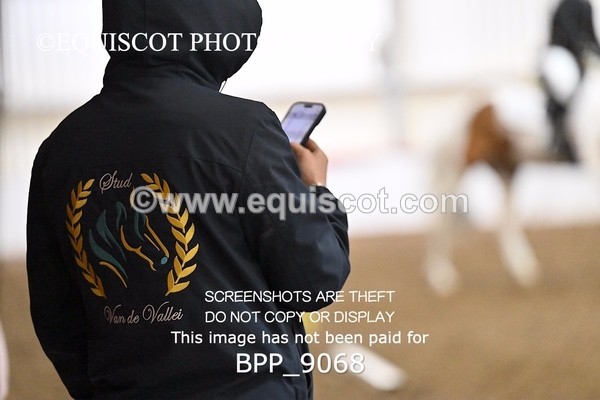 BPP_9068 - ELEM 4