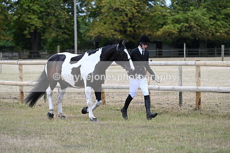 WJ7_8827 - Class 4a Prettiest Mare 14.2hh and over