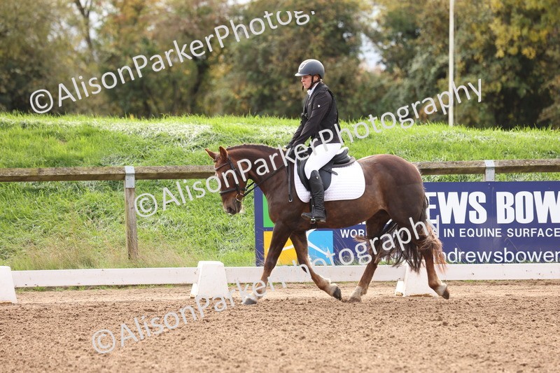 20251021-0015 - Class 2 - Intro 4