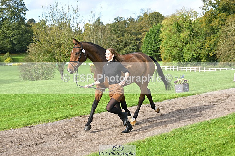 241023-132244-00247 - 015-Katie.Corbin-SPORTSFIELD.U2