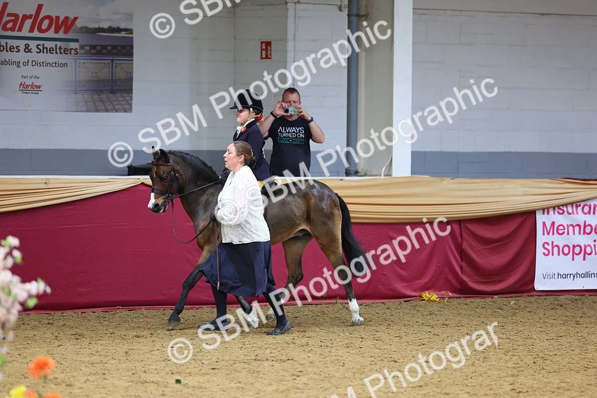 SBM_23620 - Class 904 - Supreme Final Ridden Diamond