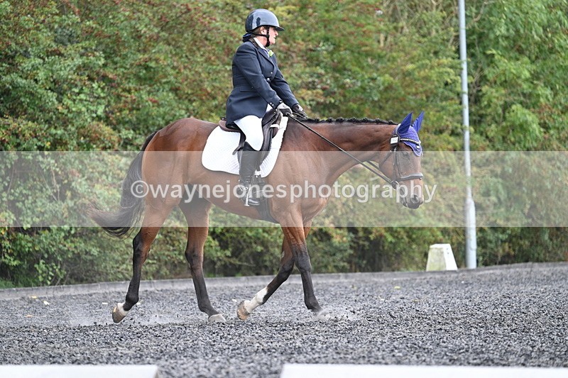 WJ7_4584 - Time 12:12 to 12:30