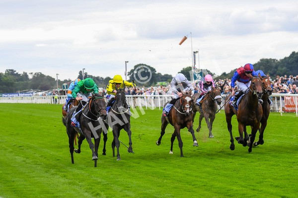 240823-Race 1-Relief Rally-0067 - Race 1 1.50pm Sky Bet Lowther Stakes