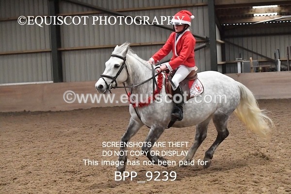 BPP_9239 - CLASS 4 50CM Novice Show Jumping