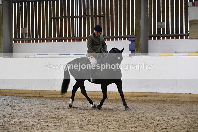 WJ5_6087 - Class 9 Ridden Veteran