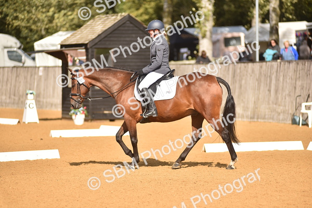 SBM_24225 - D4 - Small Tour Championship Intro 4
