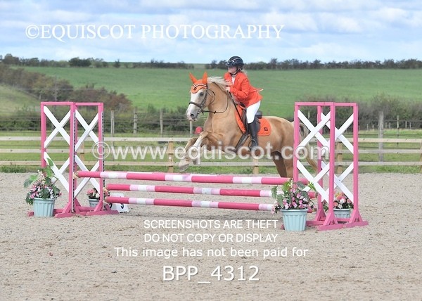 BPP_4312 - CLASS 6 HORSE 60CM FINAL