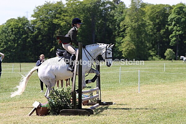 IMG_3511 - Working Hunter