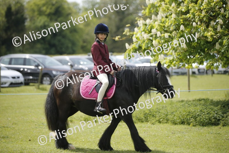 20260426-3444 - Class 11 - Best Mane and Tail