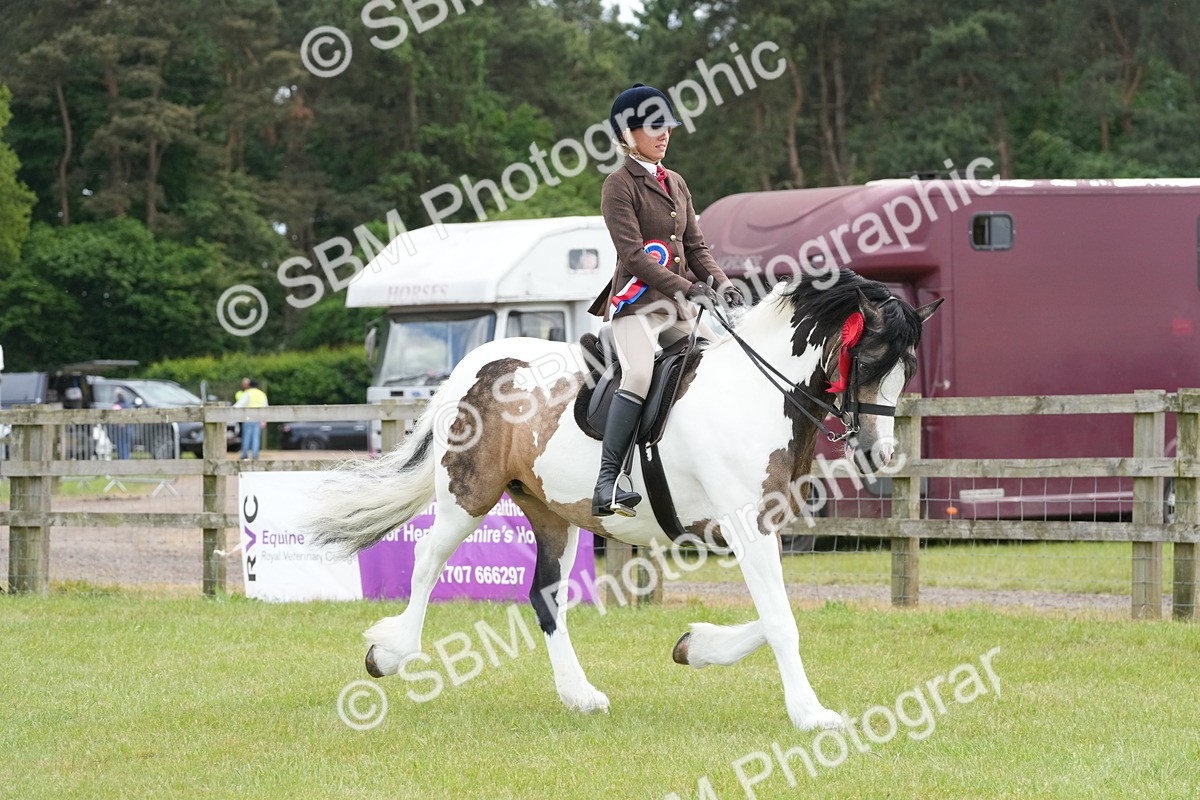 SBM_17693 - Class 107-108 - LIHS BSPS Performance Coloured Horse Pony