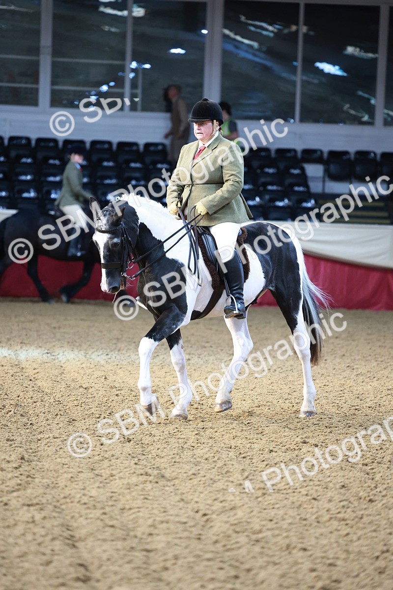 SBM_11839 - Class 102 - Equitation (Best Rider) Adult