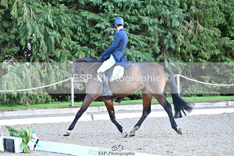 251023A-163642-05903 - A-017-Harrison.Chart