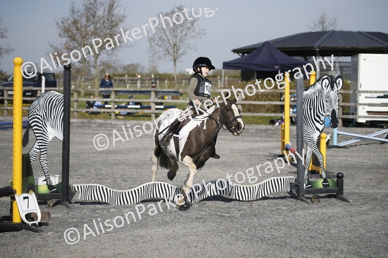 20250412-0249 - Show Jumping