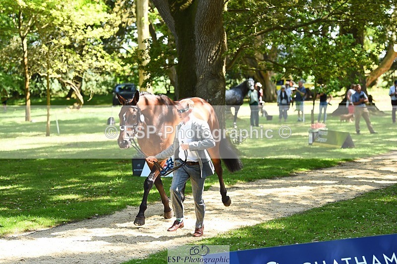 230524-151148-00120 - 354-TREWORDER-Michael_Owen-WEDTrotUp+DR