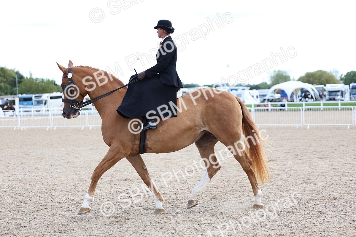 SBM_17219 - Class 315 - Best Horse - Rider Combination