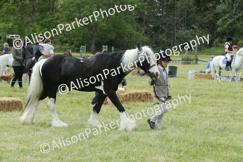 20260614-4282 - Class 18 - Best Junior Handler