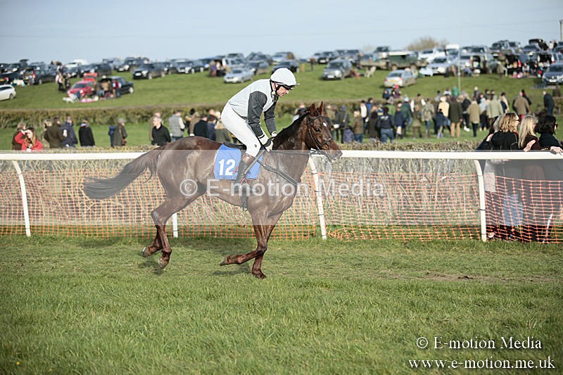 PtP 230319 521 - VWH Hunt Siddington Point-to-Point Racing 23/03/19