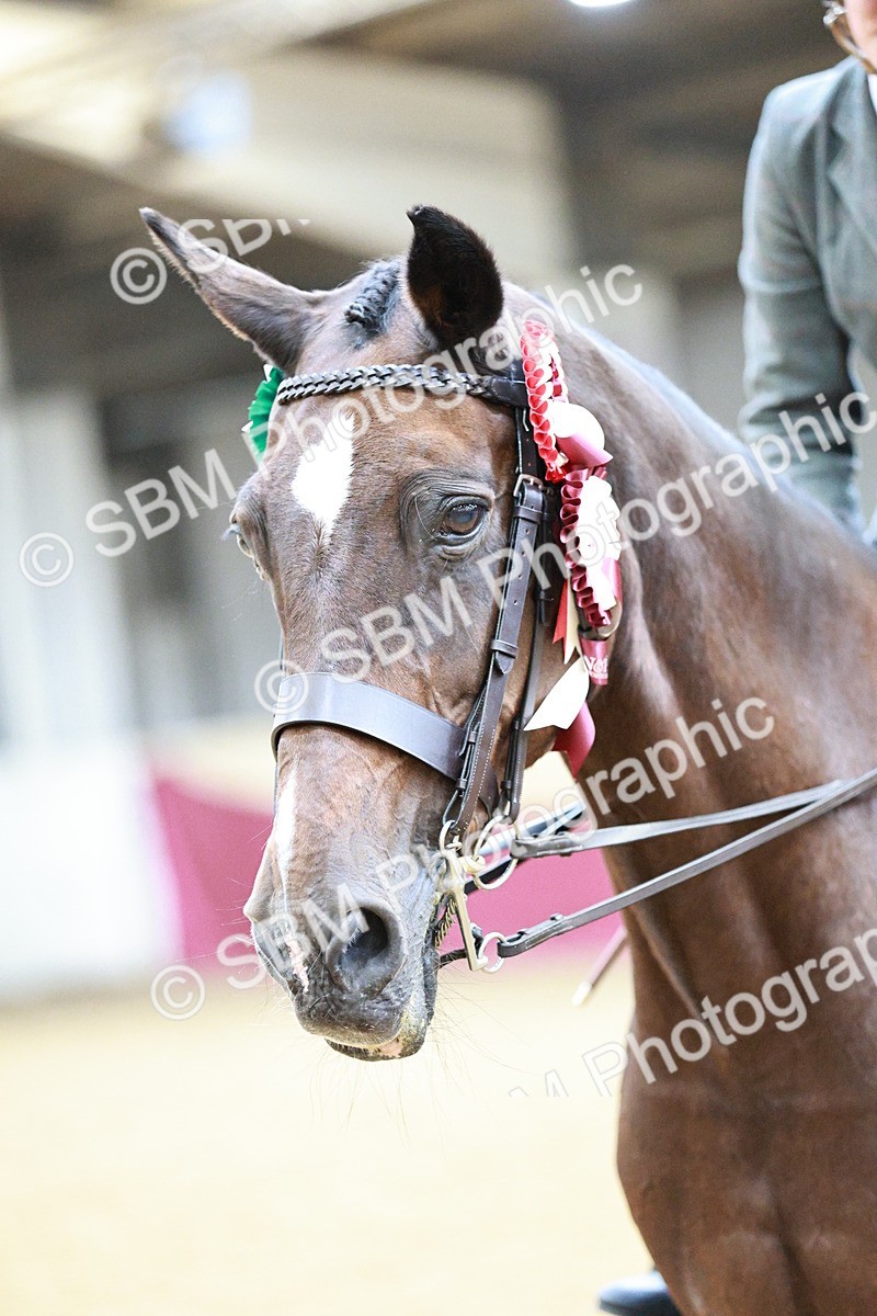SBM_02313 - Class 4A - Area Ridden Diamond