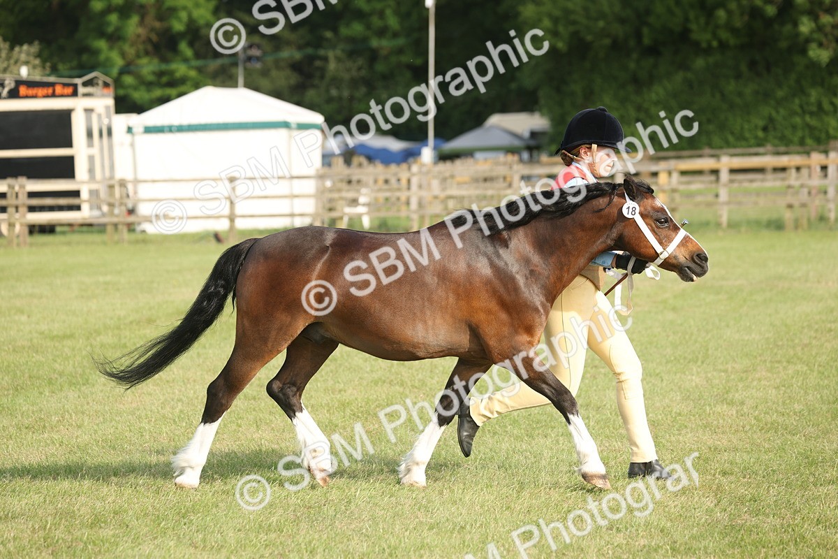 SBM_10591 - Class 33-38 - SSADL RIHS Qualifiers
