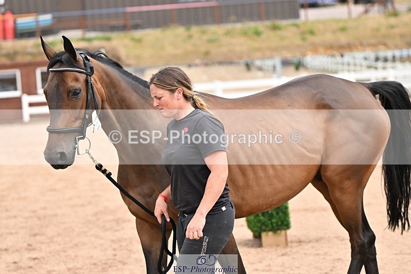 250716-151025-01722 - Trot Up 2.30 to 3.30