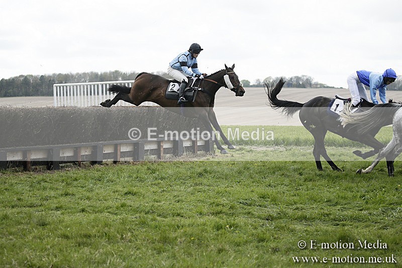 PtP 170417 99 - Old Berks Point-to-Point Lockinge 17/04/17