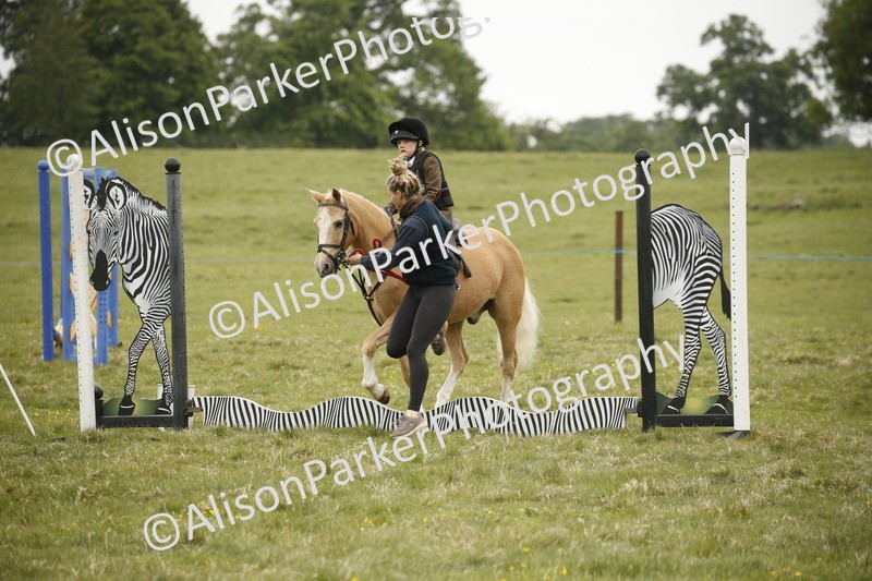 20250517-0209 - Class 1 - 30cm On Lead Rein