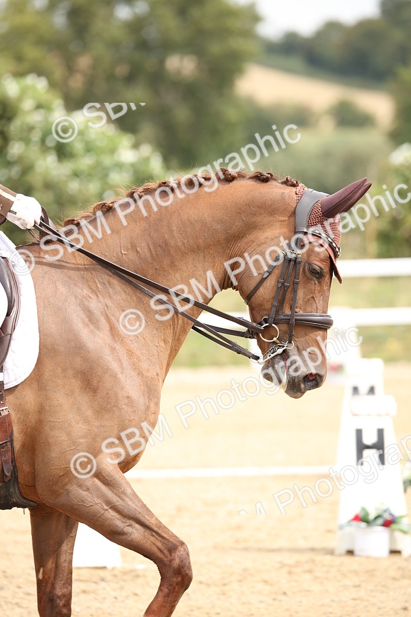 SBM_019684 - Class 22 - Medium 73 - 10.36 11.32