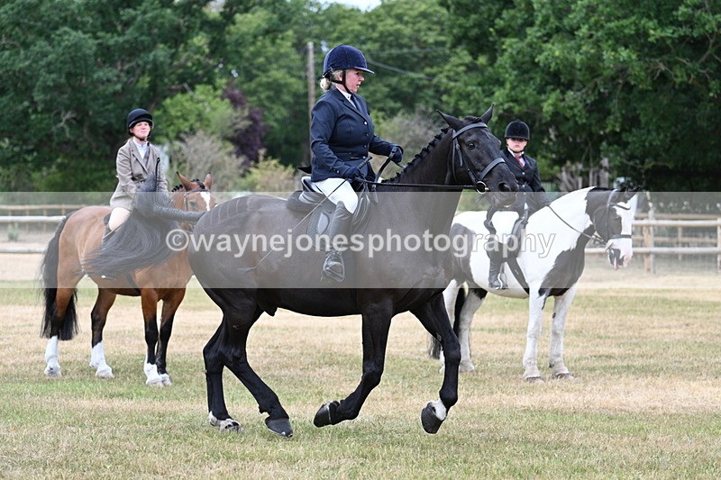 WJ7_1144 - Class 3 Family Mount