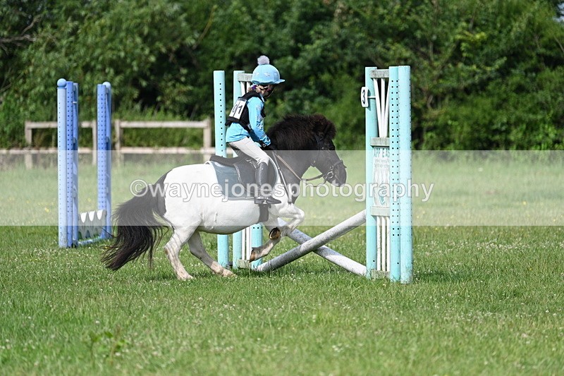 WJ7_0099 - 40cm
