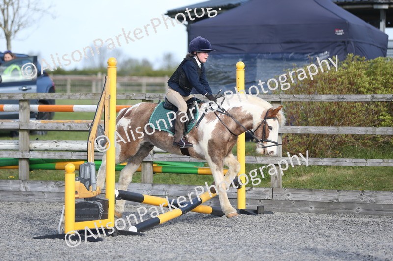 20260412-0063 - Show Jumping