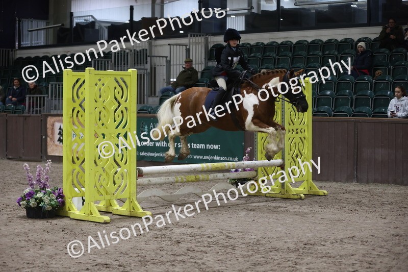 20260125-2772 - Class 3 - 60cm