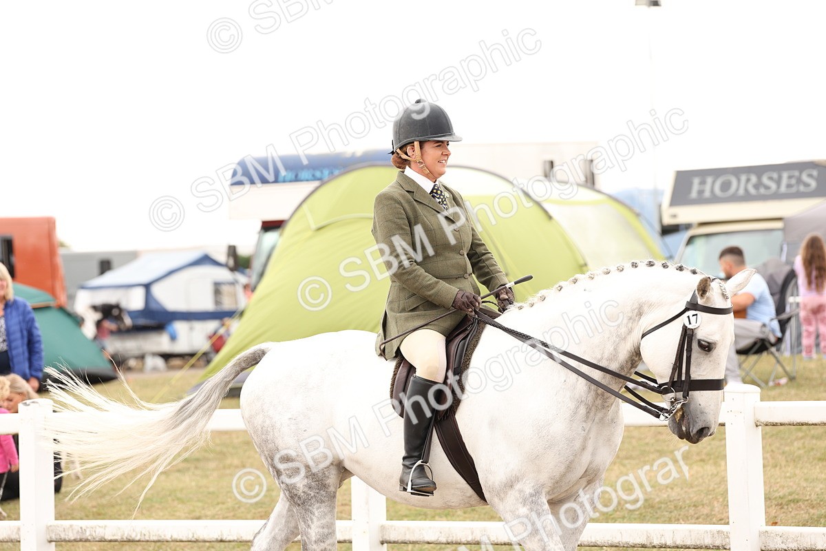 SBM_16455 - Class 212 - Ridden Hunter - Small