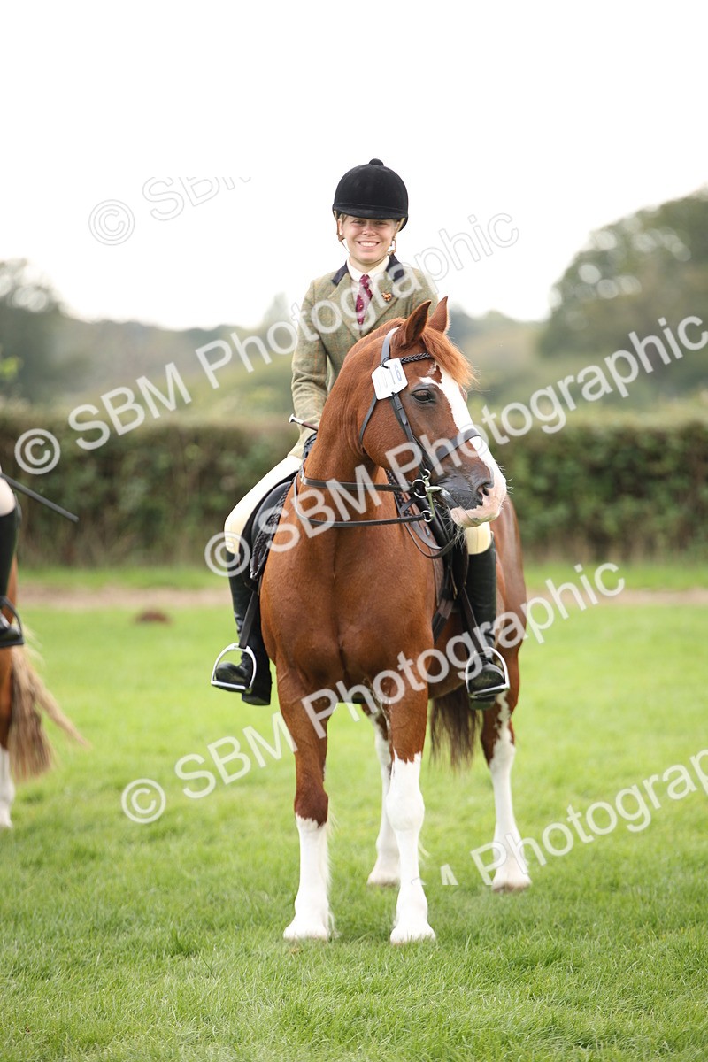 SBM_50004 - S26 - Young Veteran - Ridden