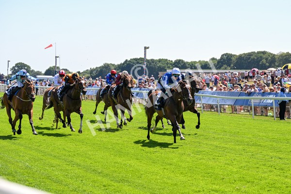 110725-Race 2-Sayidah Dariyan-0219 - Race 2 2.45pm William Hill Summer Stakes