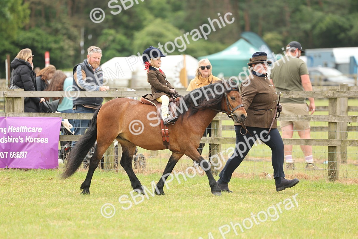 SBM_06661 - Class 74-75 - M&M Lead Rein and First Ridden Pony
