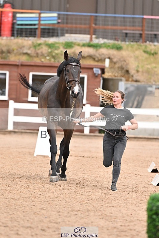 250716-162237-02598 - Trot Up 3.30 to 4.30