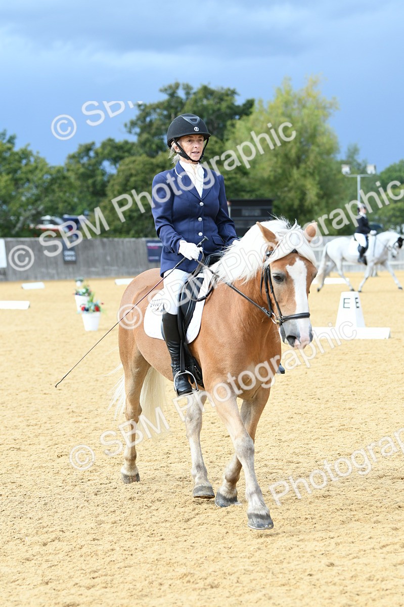 SBM_10902 - D28 Elementary Taster Elementary 42