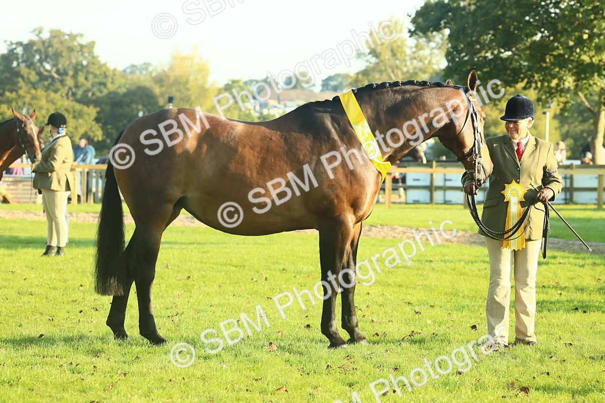 SBM_56750 - S36 - Starters Best Turnout