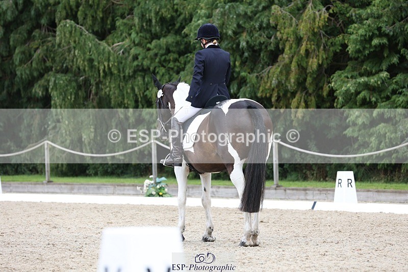 230812-140537-04385 - Cls 5 Novice Bronze 13.40 to 14.45 break