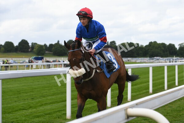 yr11062022r2-12 - Race 2 2.00pm Queen Mother's Cup