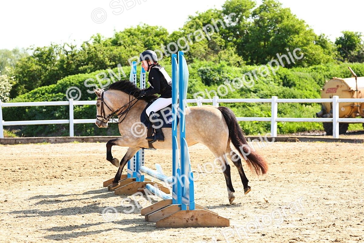 SBM_006744 - Class 2 - 50cm