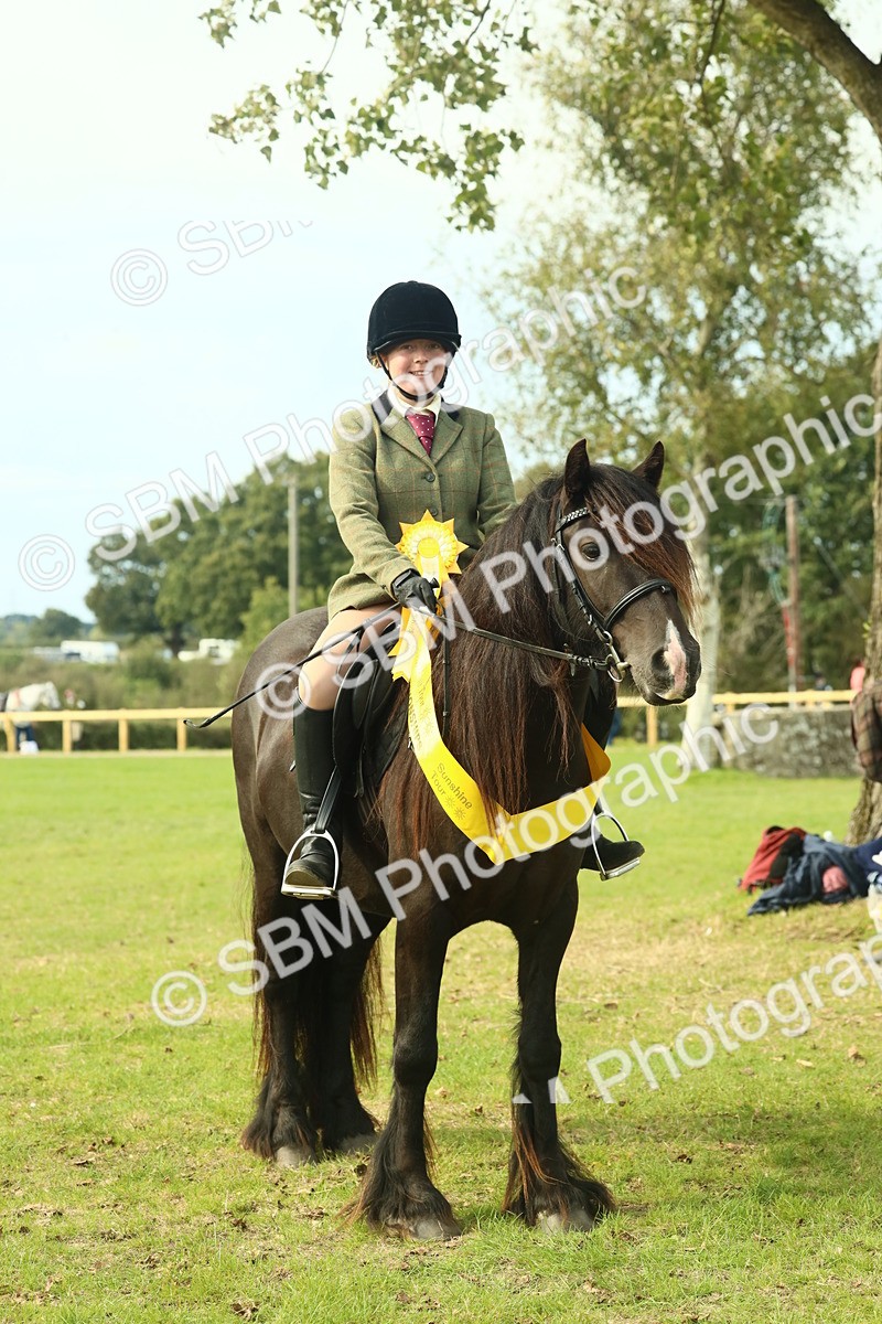 SBM_69406 - S58 - Mini Show Cob Ridden