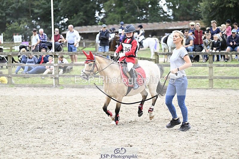 240822X-134311-08429 - 40cm LR R2 13.00 to 15.00