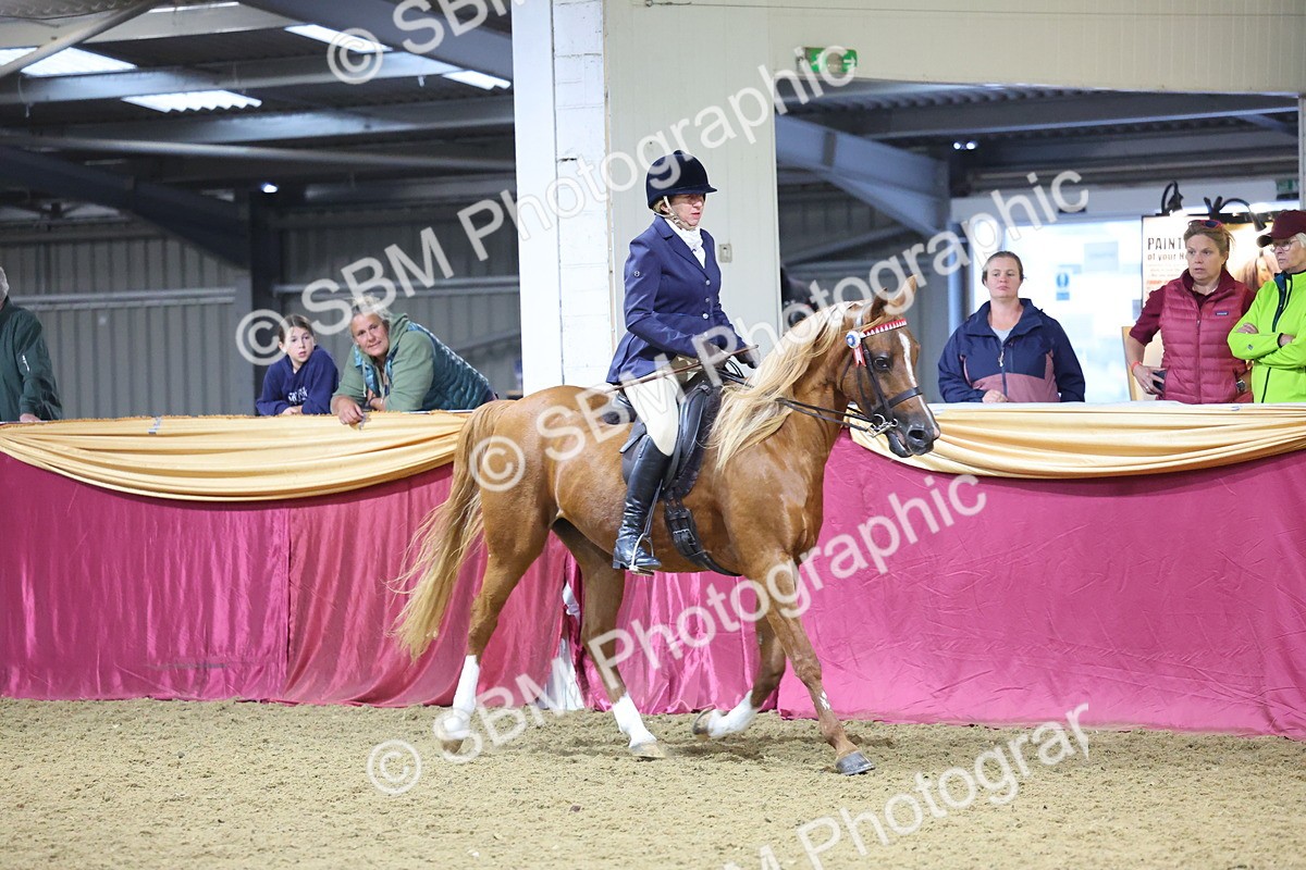 SBM_19076 - Class H Foreign Breeds Champ