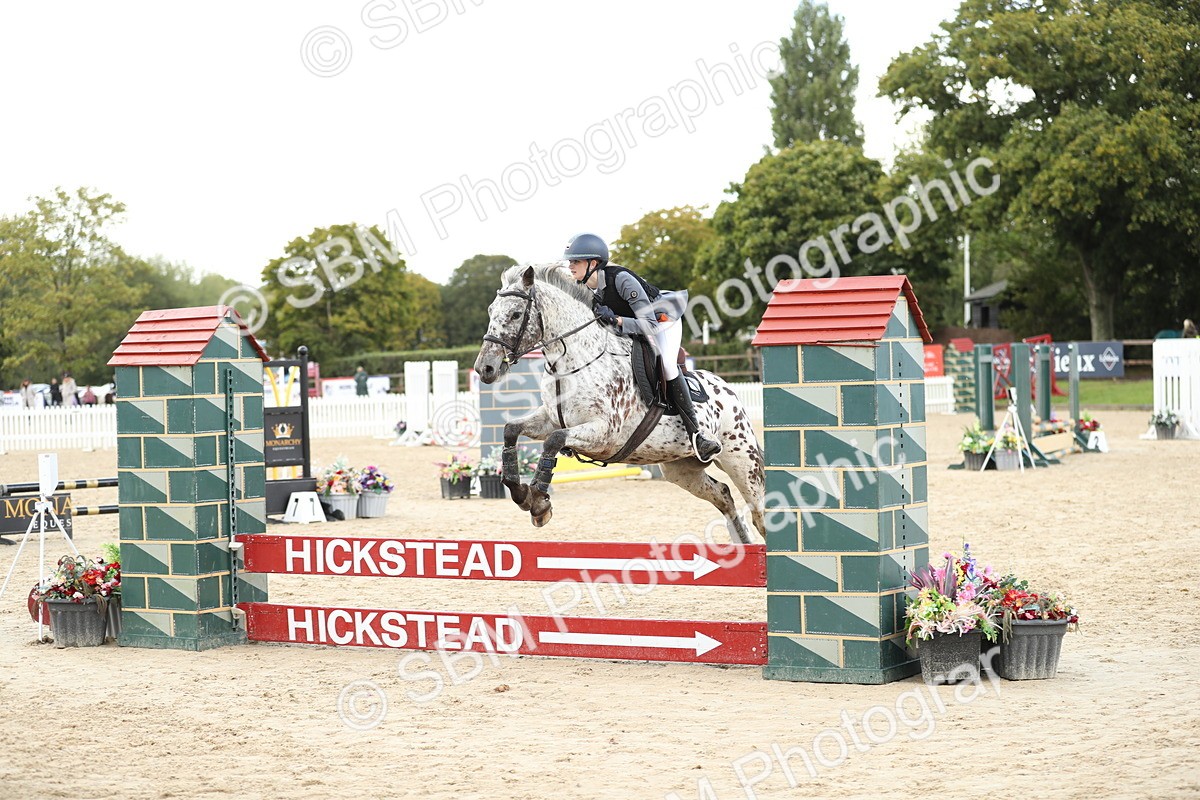 SBM_40279 - J21 - Junior Horse 60cm Championship