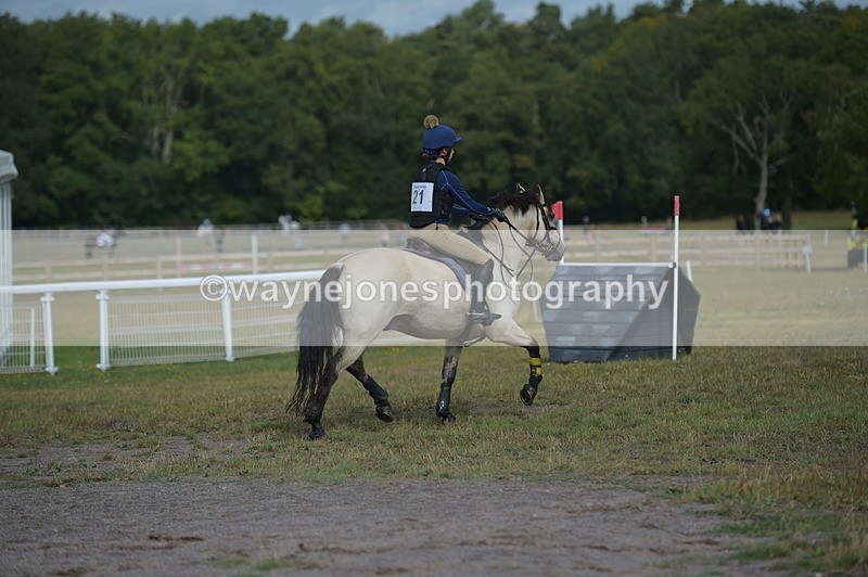 NGP_1684 - XC Time 10:53 to 11:00