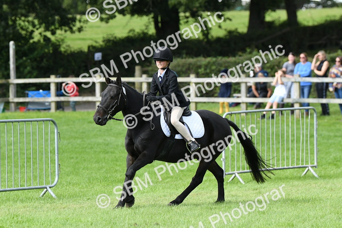 SBM_46953 - S12 - Family Horse & Pony