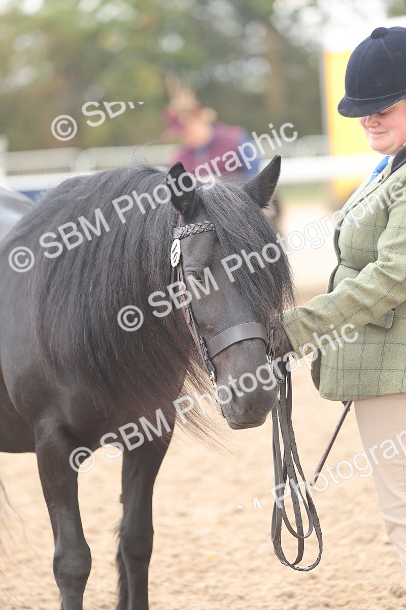 SBM_03252 - Class 16 - IH M&M Wildcard